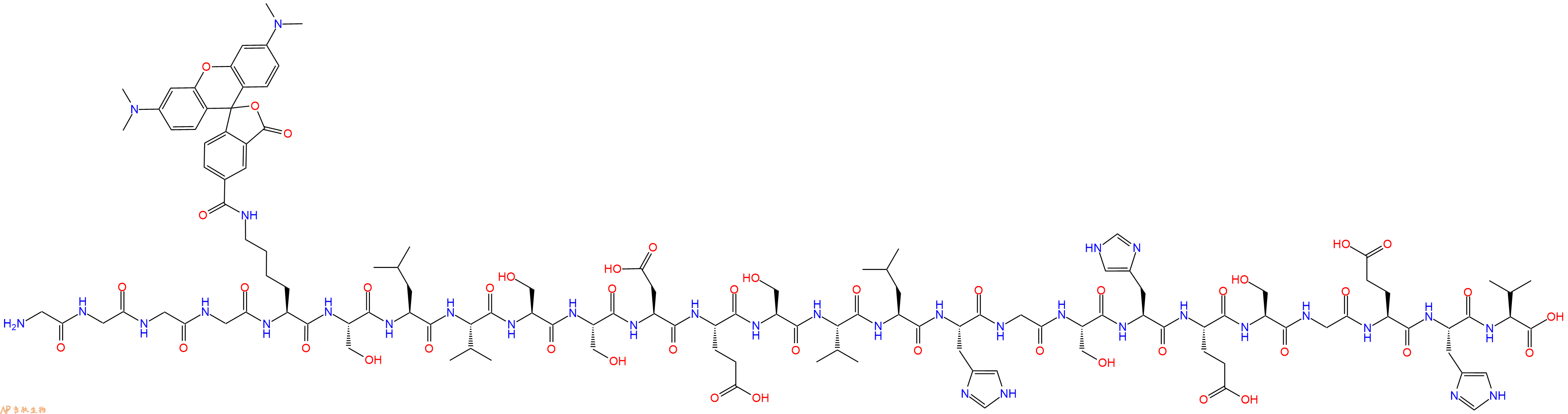 专肽生物产品二十五肽GGGG-K(TAMRA)-SLVSSDESVLHGSHESGEHV