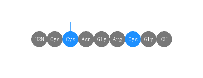 专肽生物产品NGR肽： Cys-NGR peptide