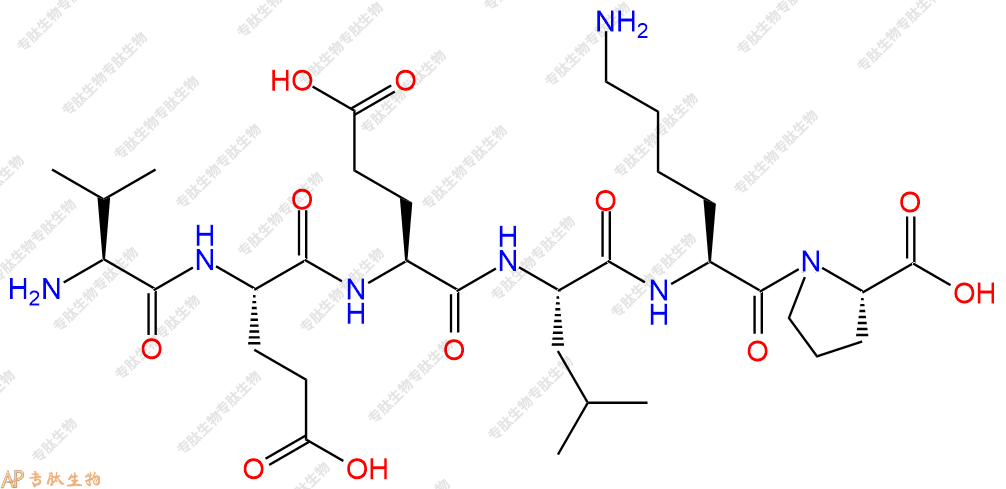 专肽生物产品六肽Val-Glu-Glu-Leu-Lys-Pro