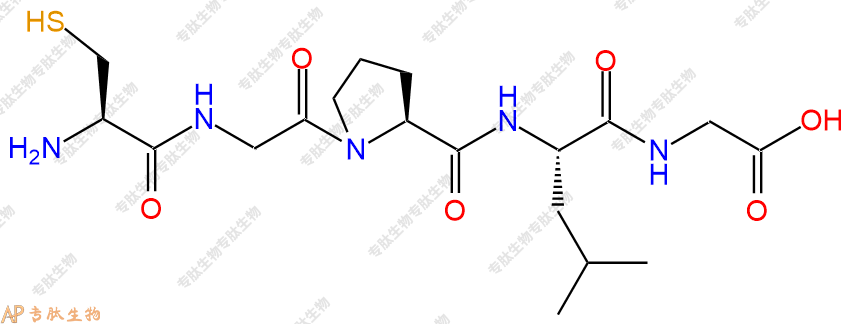 专肽生物产品五肽Cys-Gly-Pro-Leu-Gly