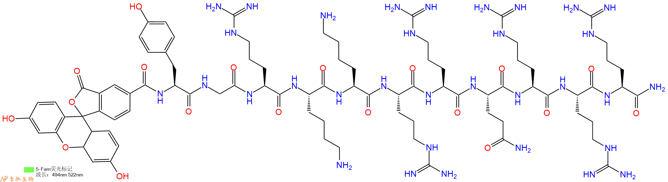 专肽生物产品细胞穿膜肽[5-FAM]-TAT (47-57) amide