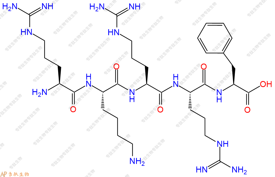 专肽生物产品五肽Arg-Lys-Arg-Arg-Phe