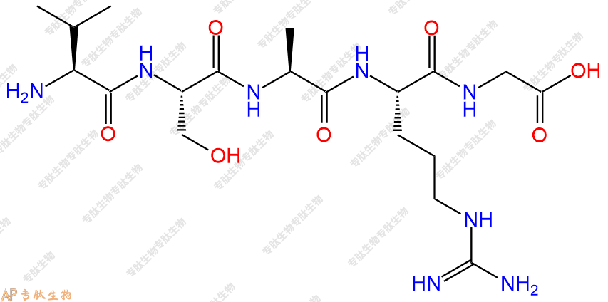 专肽生物产品五肽Val-Ser-Ala-Arg-Gly