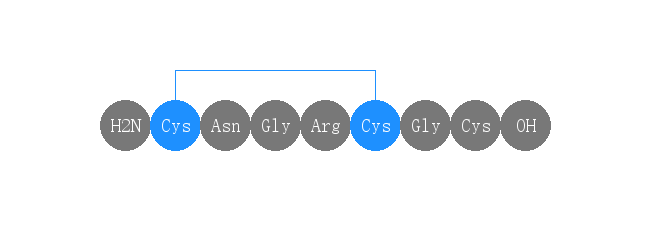 专肽生物产品NGR肽： NGR peptide-Cys