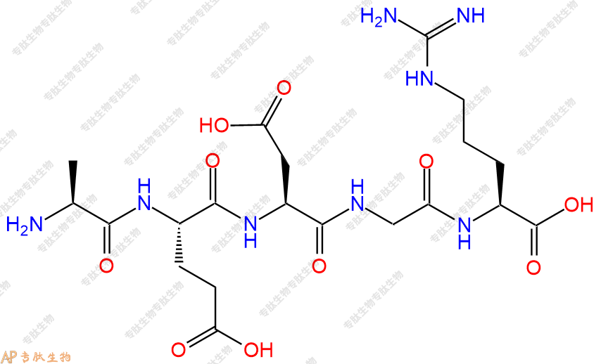 专肽生物产品五肽Ala-Glu-Asp-Gly-Arg
