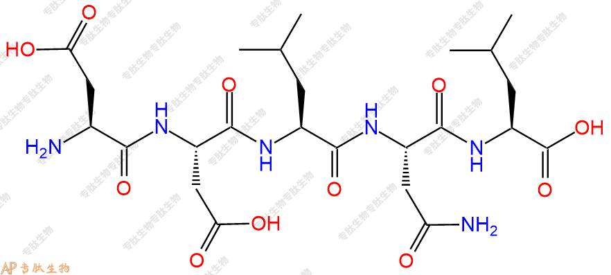 专肽生物产品五肽Asp-Asp-Leu-Asn-Leu