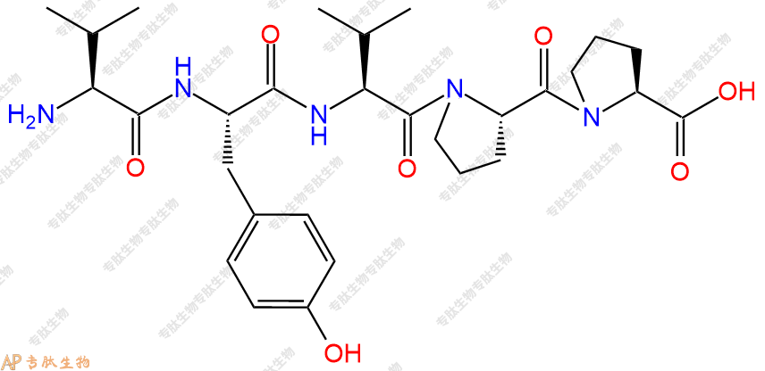 专肽生物产品五肽Val-Tyr-Val-Pro-Pro