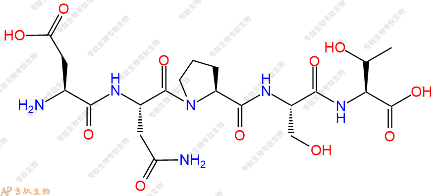 专肽生物产品五肽Asp-Asn-Pro-Ser-Thr