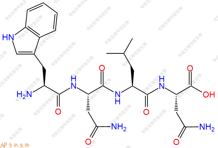 专肽生物产品四肽Trp-Asn-Leu-Asn