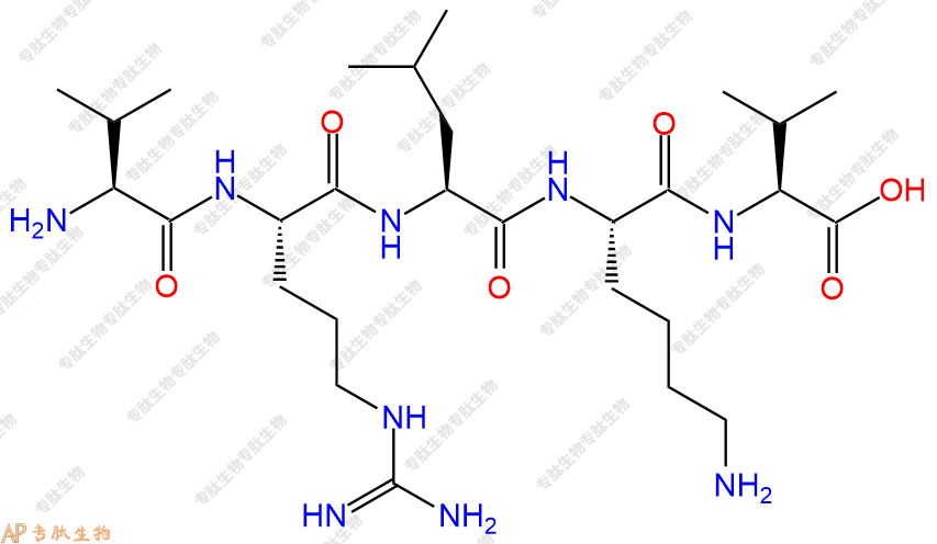 专肽生物产品五肽Val-Arg-Leu-Lys-Val