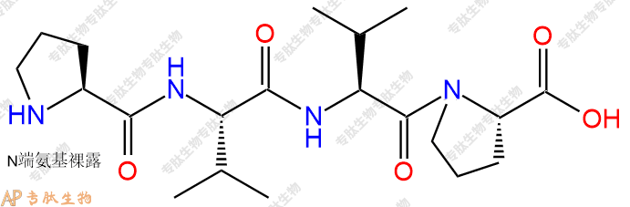 专肽生物产品四肽Pro-Val-Val-Pro