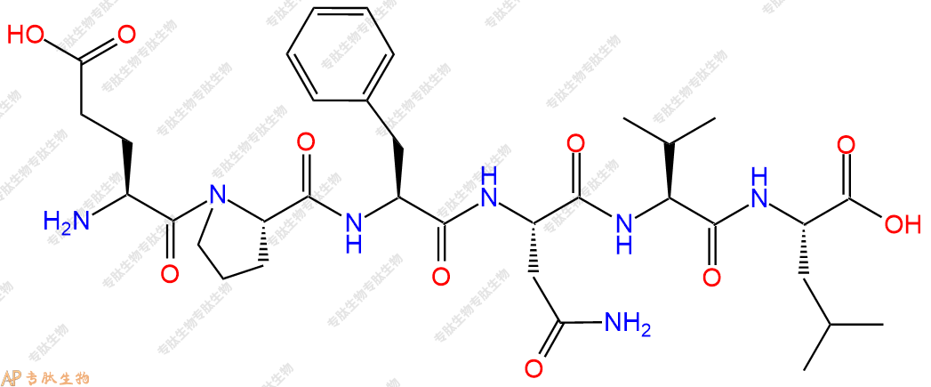 专肽生物产品六肽Glu-Pro-Phe-Asn-Val-Leu