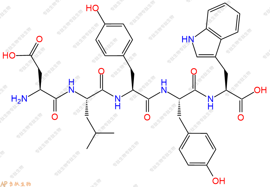 专肽生物产品五肽Asp-Leu-Tyr-Tyr-Trp