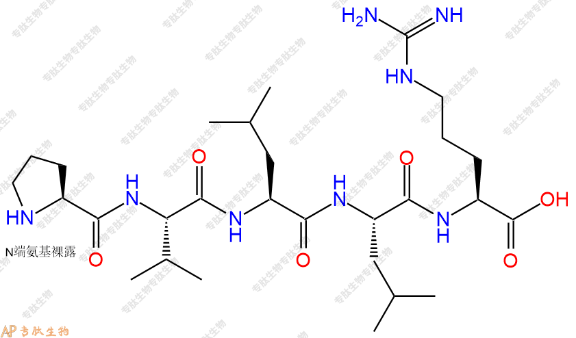专肽生物产品五肽Pro-Val-Leu-Leu-Arg