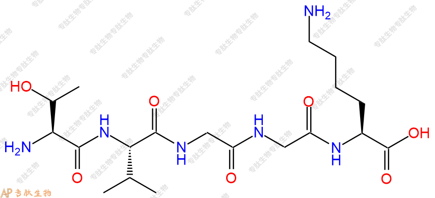 专肽生物产品五肽Thr-Val-Gly-Gly-Lys