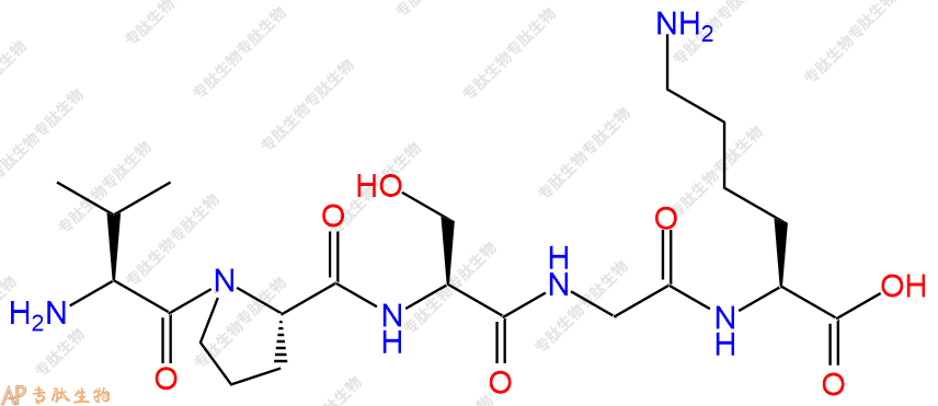 专肽生物产品五肽Val-Pro-Ser-Gly-Lys