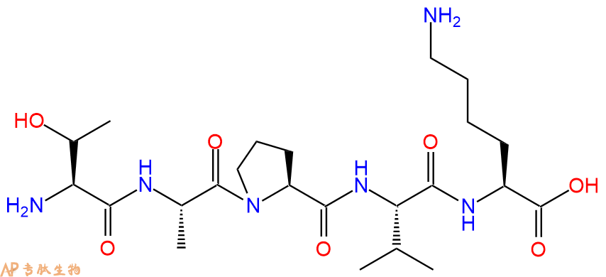 专肽生物产品五肽Thr-Ala-Pro-Val-Lys