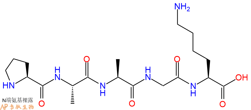 专肽生物产品五肽Pro-Ala-Ala-Gly-Lys