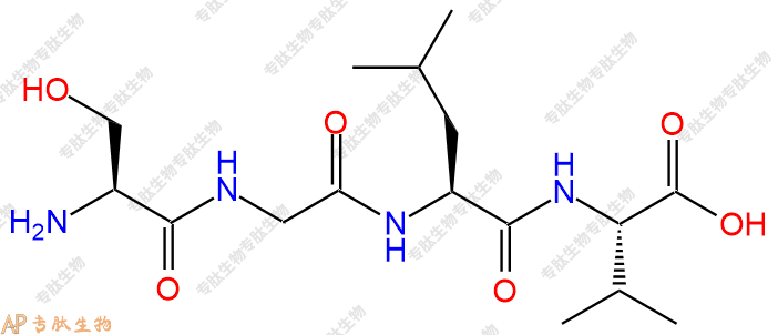 专肽生物产品四肽Ser-Gly-Leu-Val