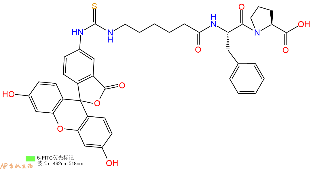 专肽生物产品三肽FITC-Acp-Phe-Pro