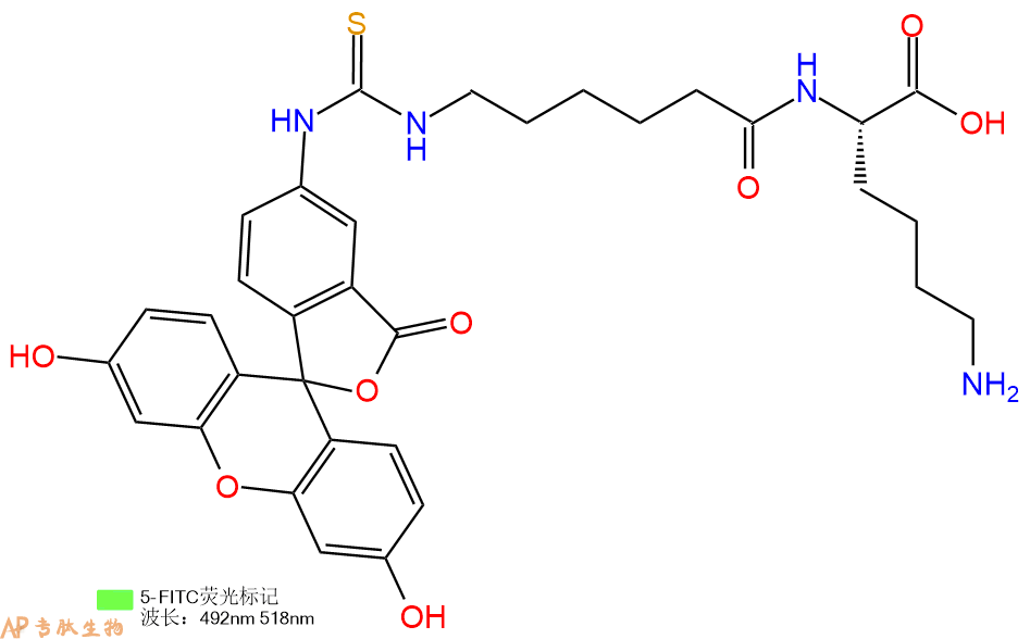 专肽生物产品二肽FITC-Acp-Lys