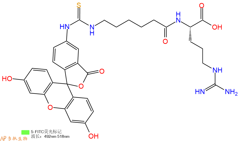 专肽生物产品二肽FITC-Acp-Arg