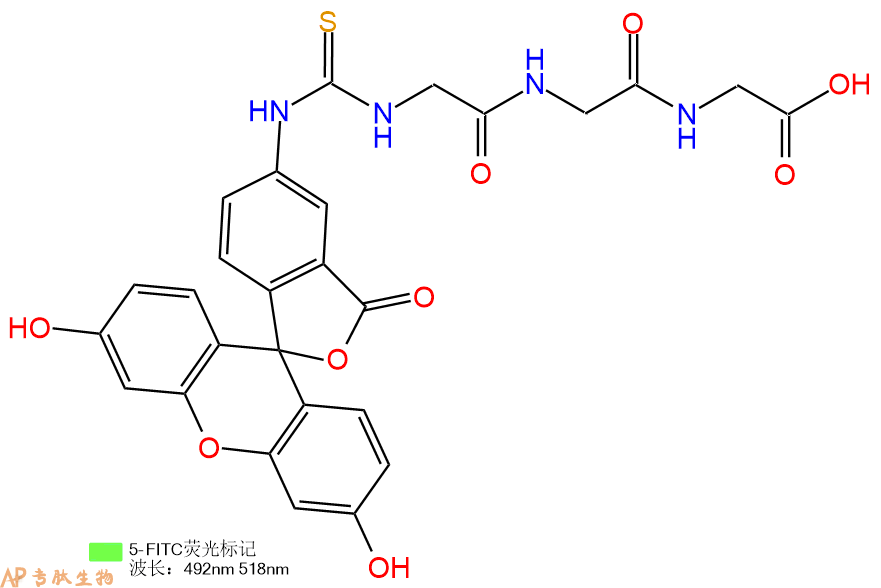 专肽生物产品三肽FITC-Gly-Gly-Gly