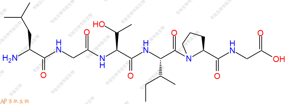 专肽生物产品六肽Leu-Gly-Thr-Ile-Pro-Gly