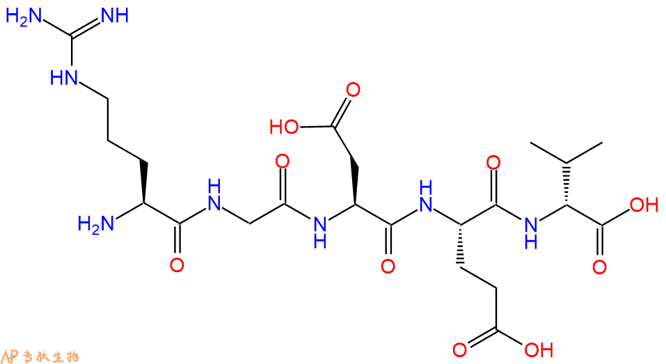 专肽生物产品五肽Arg-Gly-Asp-Glu-DVal