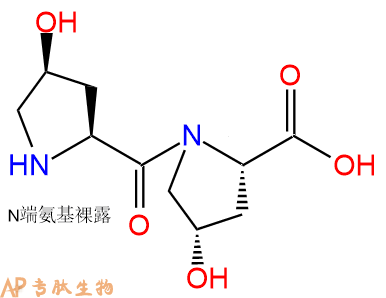 专肽生物产品二肽Hyp-Hyp