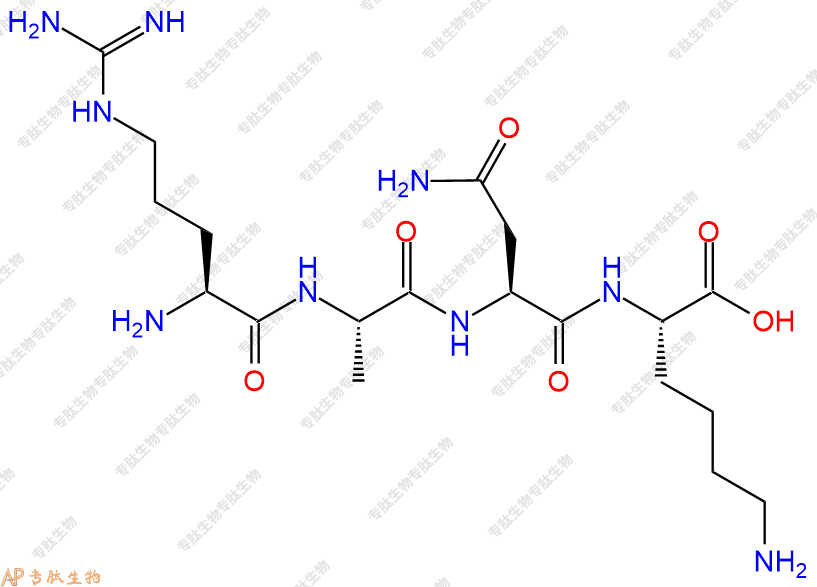专肽生物产品四肽Arg-Ala-Asn-Lys