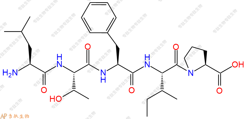 专肽生物产品五肽Leu-Thr-Phe-Ile-Pro
