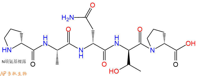 专肽生物产品五肽DPro-Ala-DAsn-DThr-DPro