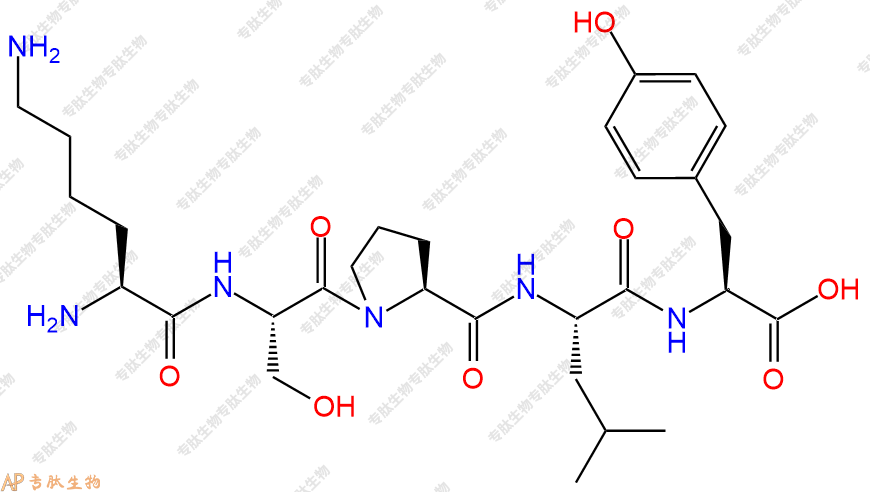 专肽生物产品五肽Lys-Ser-Pro-Leu-Tyr