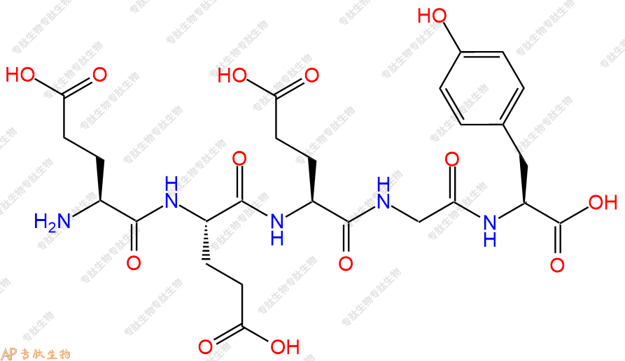 专肽生物产品五肽Glu-Glu-Glu-Gly-Tyr