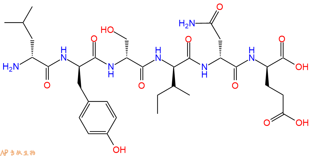 专肽生物产品六肽DLeu-DTyr-DSer-DIle-DAsn-DGlu