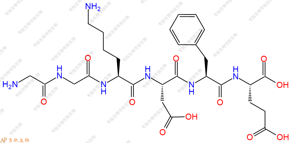 专肽生物产品六肽Gly-Gly-Lys-Asp-Phe-Glu