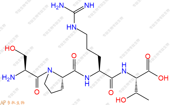 专肽生物产品四肽Ser-Pro-Arg-Thr