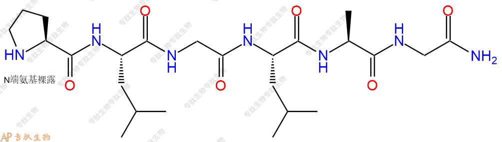 专肽生物产品六肽Pro-Leu-Gly-Leu-Ala-Gly-NH2