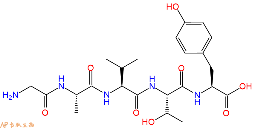 专肽生物产品五肽Gly-Ala-Val-Thr-Tyr