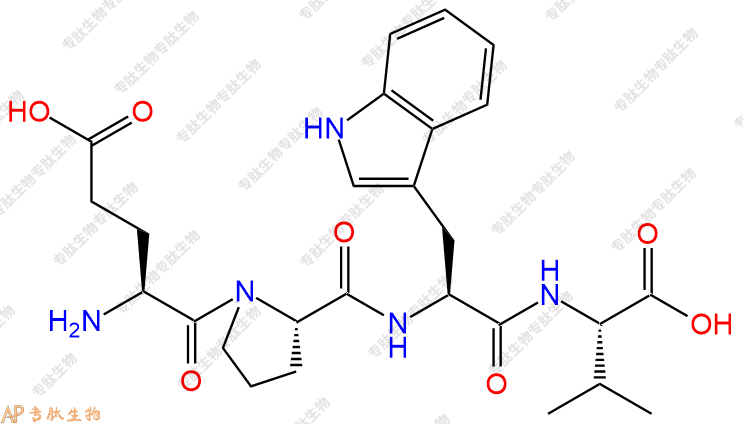 专肽生物产品四肽Glu-Pro-Trp-Val