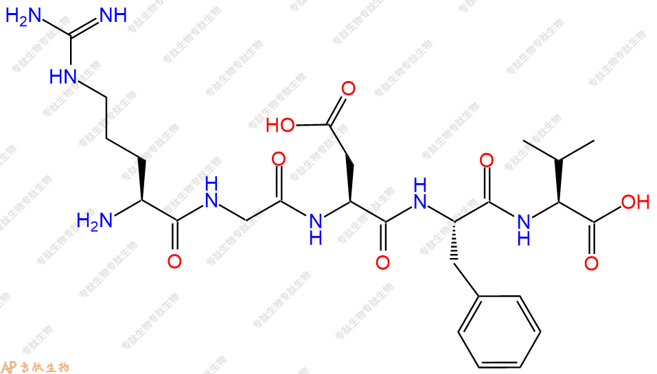 专肽生物产品五肽Arg-Gly-Asp-Phe-Val