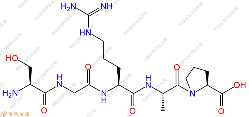 专肽生物产品五肽Ser-Gly-Arg-Ala-Pro