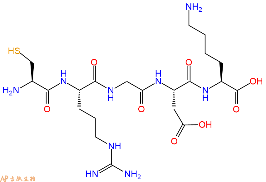 专肽生物产品五肽Cys-Arg-Gly-Asp-Lys