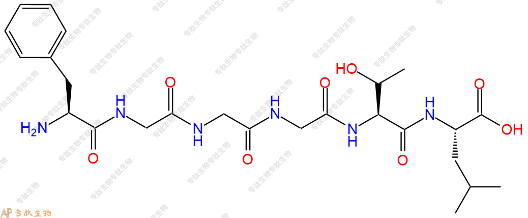 专肽生物产品六肽Phe-Gly-Gly-Gly-Thr-Leu