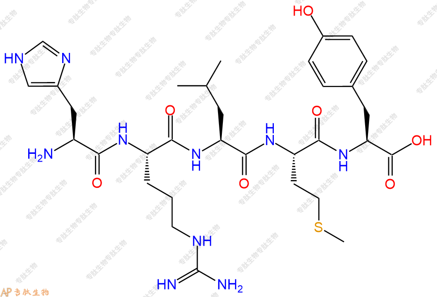 专肽生物产品五肽His-Arg-Leu-Met-Tyr