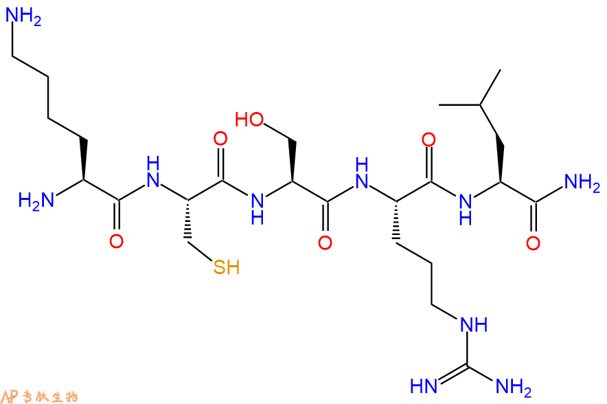 专肽生物产品五肽Lys-Cys-Ser-Arg-Leu-NH2