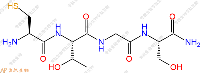 专肽生物产品四肽Cys-Thr-Gly-Ser-NH2