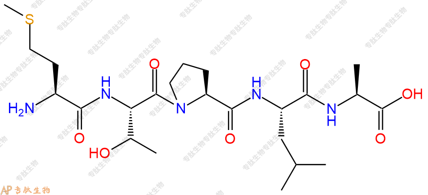 专肽生物产品五肽Met-Thr-Pro-Leu-Ala