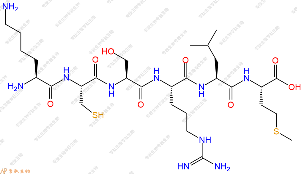 专肽生物产品六肽Lys-Cys-Ser-Arg-Leu-Met